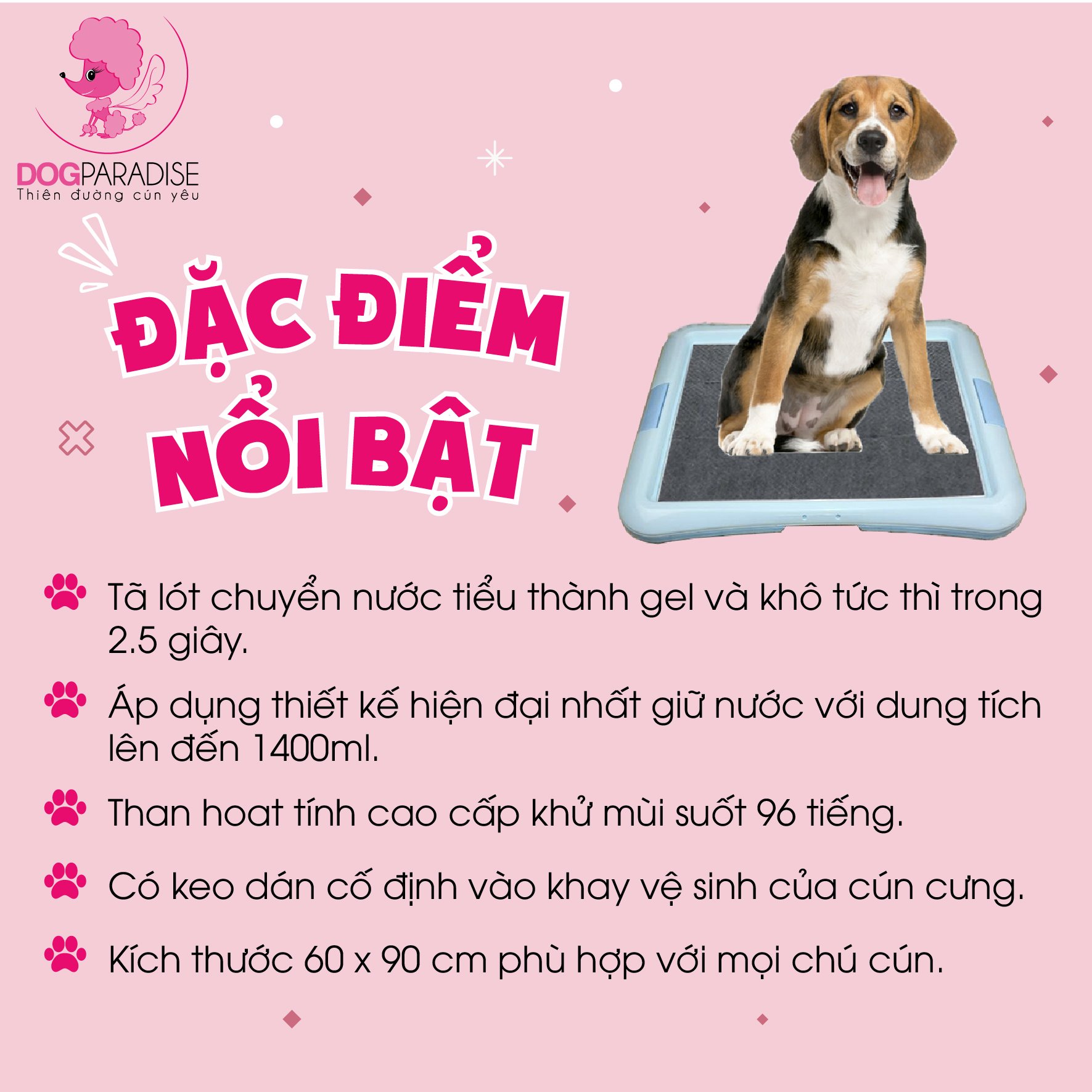 Tã Lót Cho Chó CÓ THAN HOẠT TÍNH ABSORB CHARCOA - Dog Paradise (size s 100 miếng, SizeM 50 miếng, Size L 25 miếng)