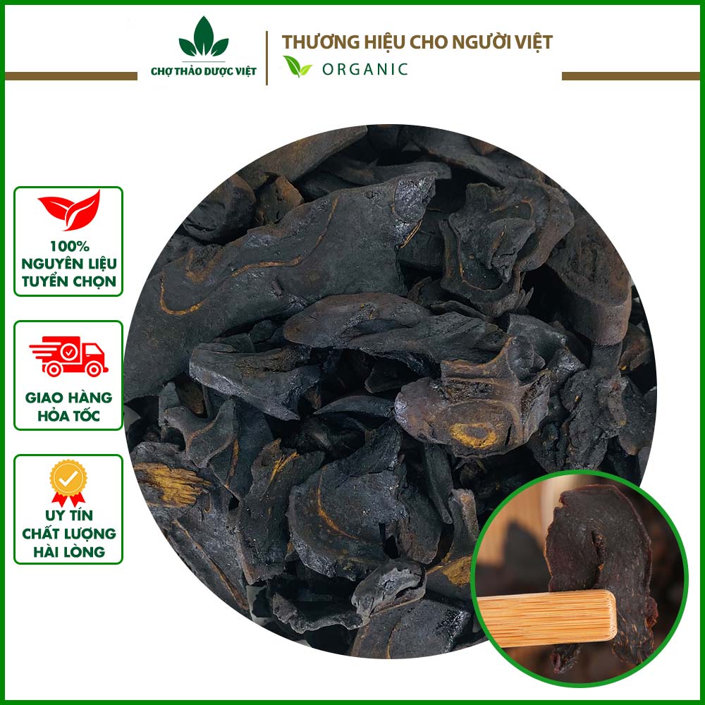 Cẩu tích đã sơ chế 500g - chợ thảo dược việt