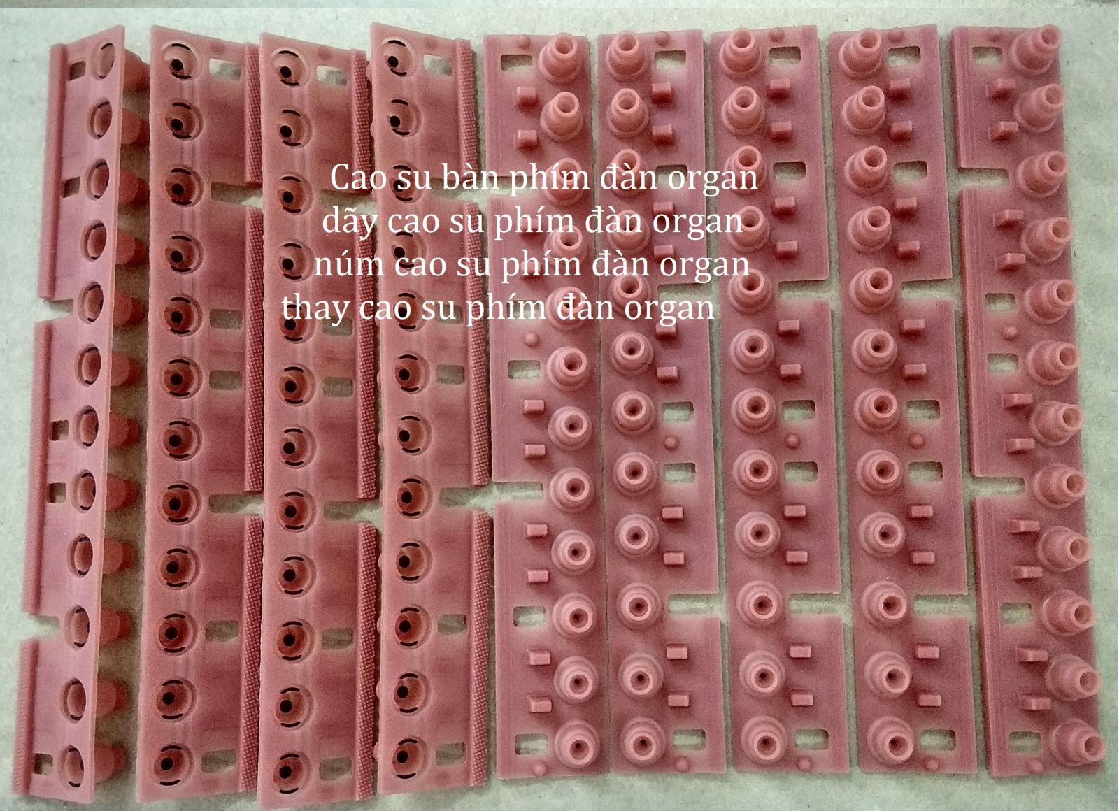 Cao su phím đàn Organ yamaha ( 1 Octave).