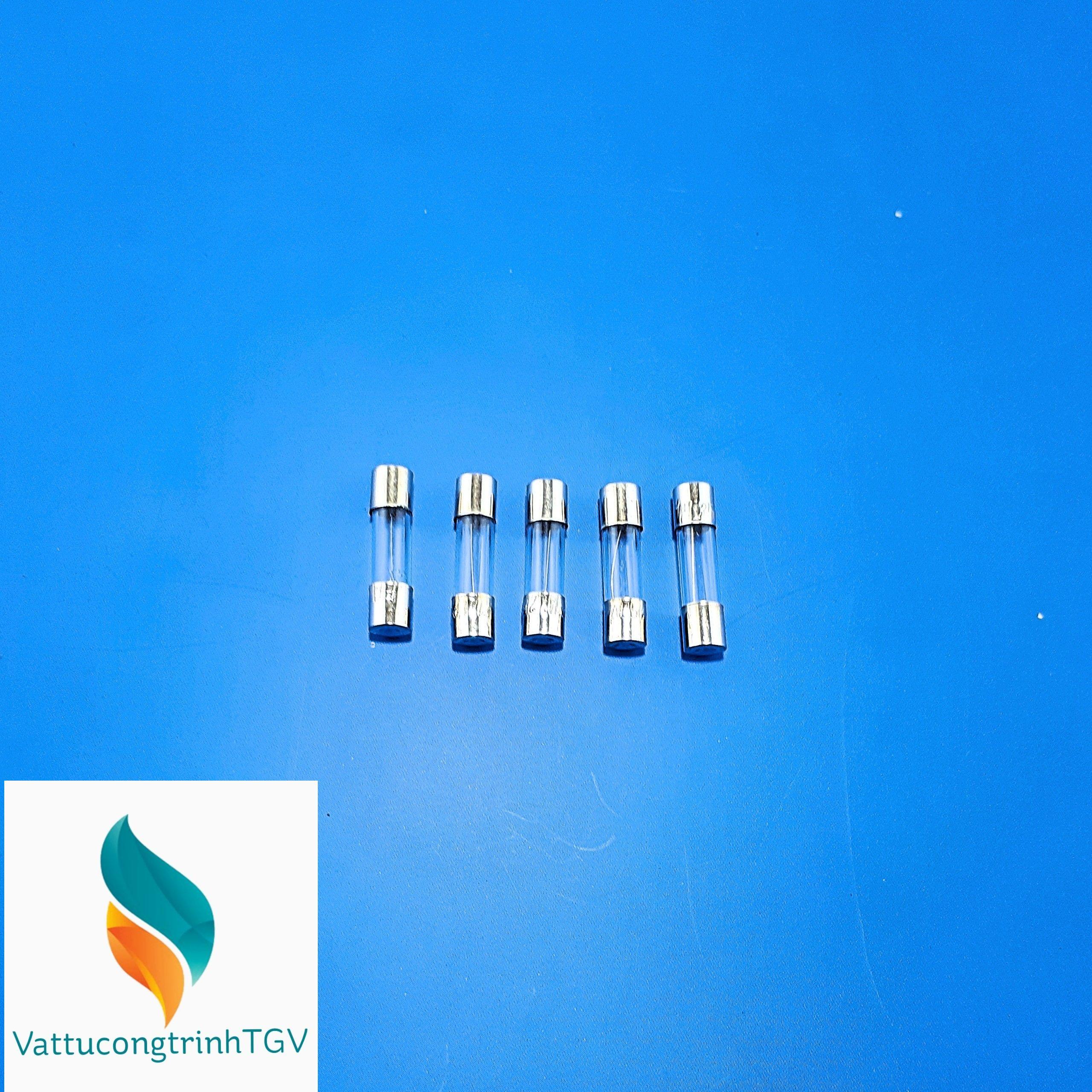 Bộ 5 cầu chì 3A (20*5mm)