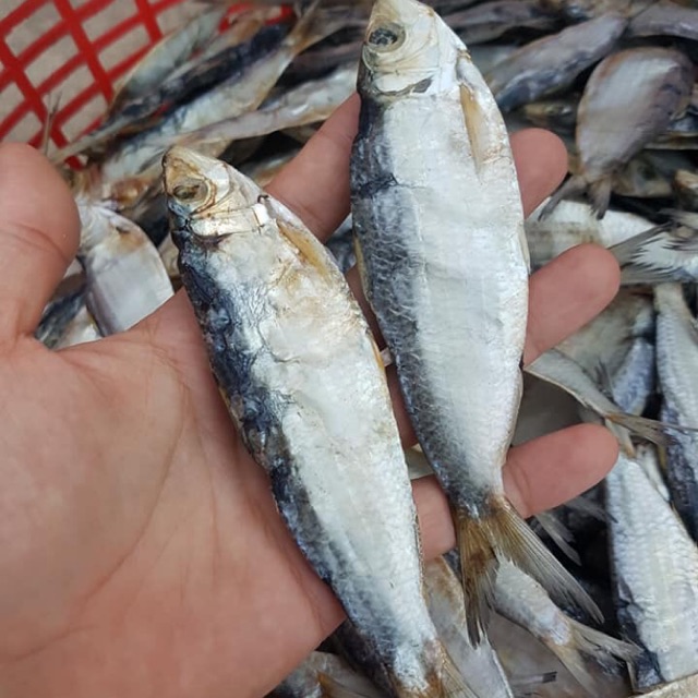 KHÔ CÁ TRÍCH SUÔN VỰA KHÔ MINH TRIẾT