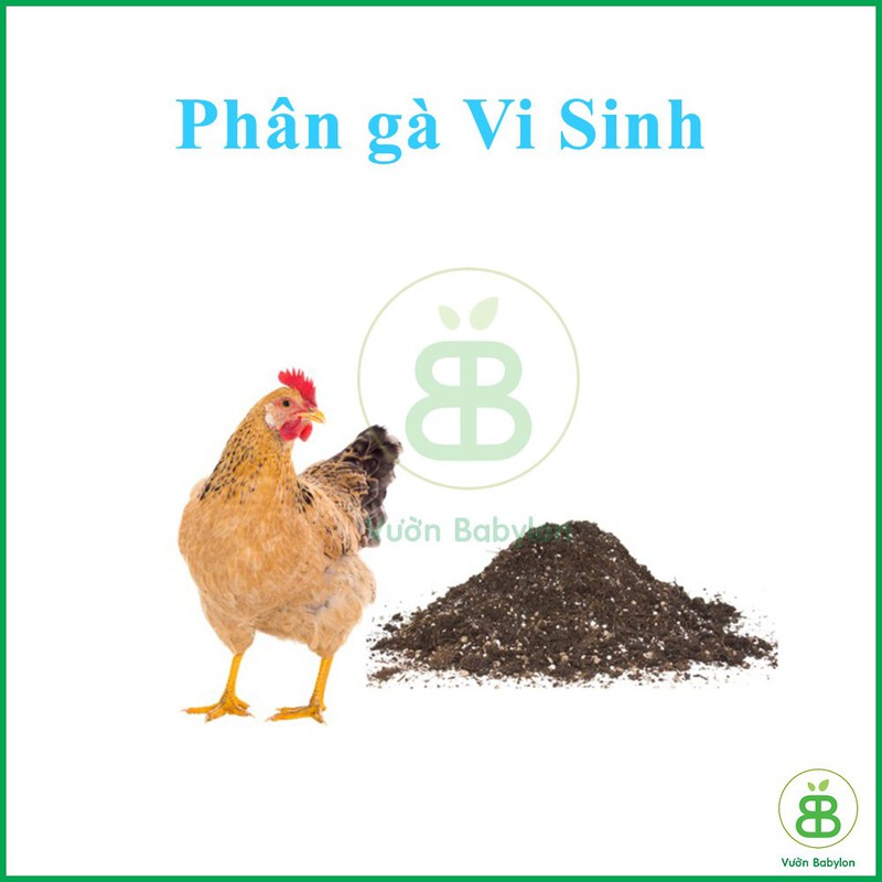 Phân Gà Vi Sinh 2KG