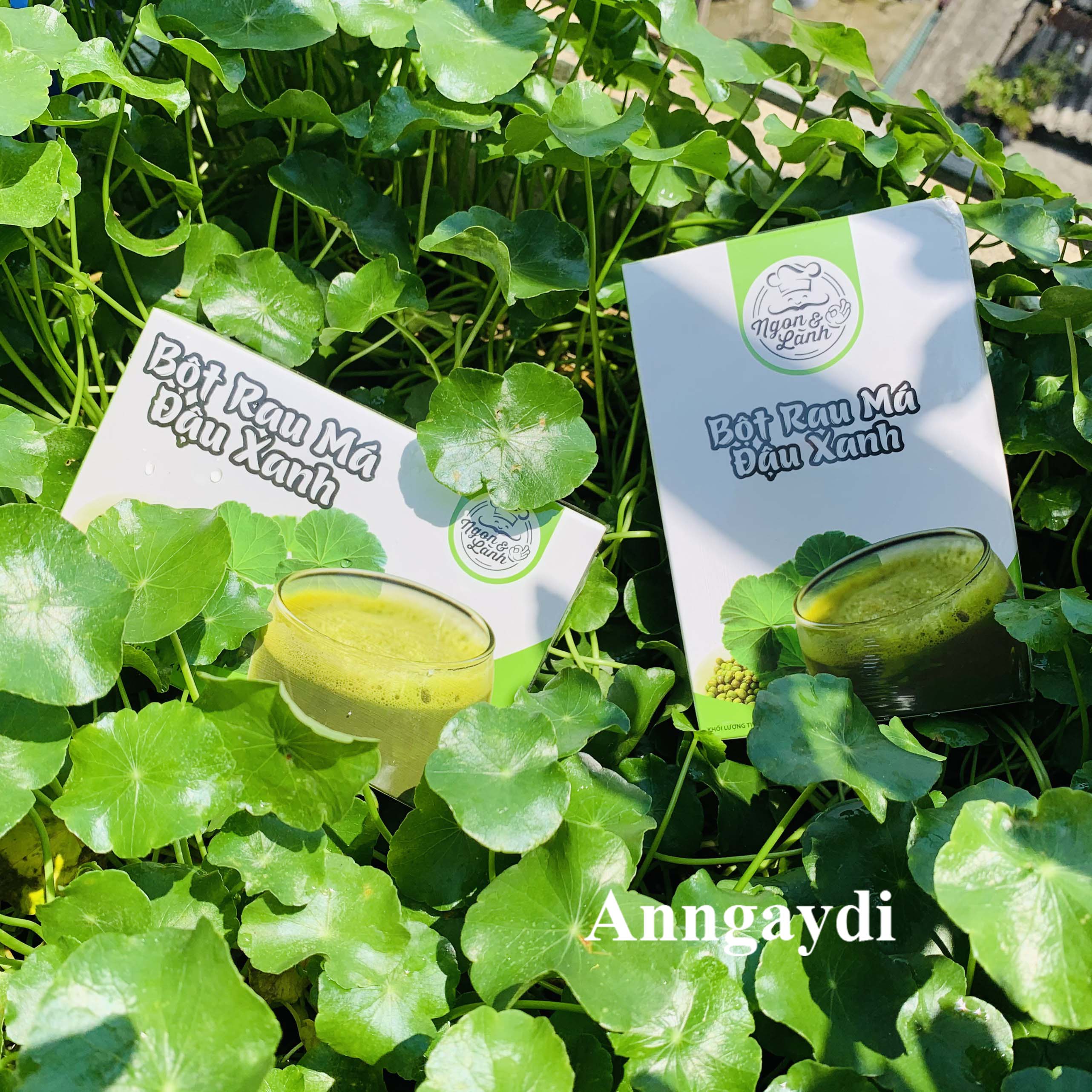 Bột Rau Má Đậu Xanh Ngon&Lành 170g (17g x 10 gói)