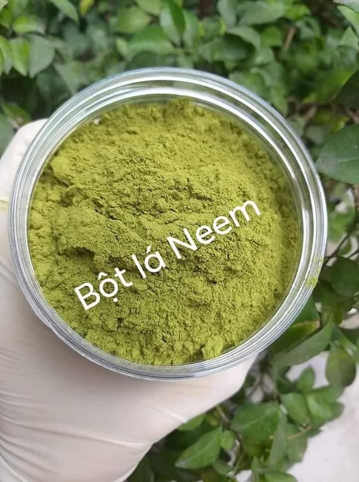 BỘT LÁ NEEM NGUYÊN CHẤT