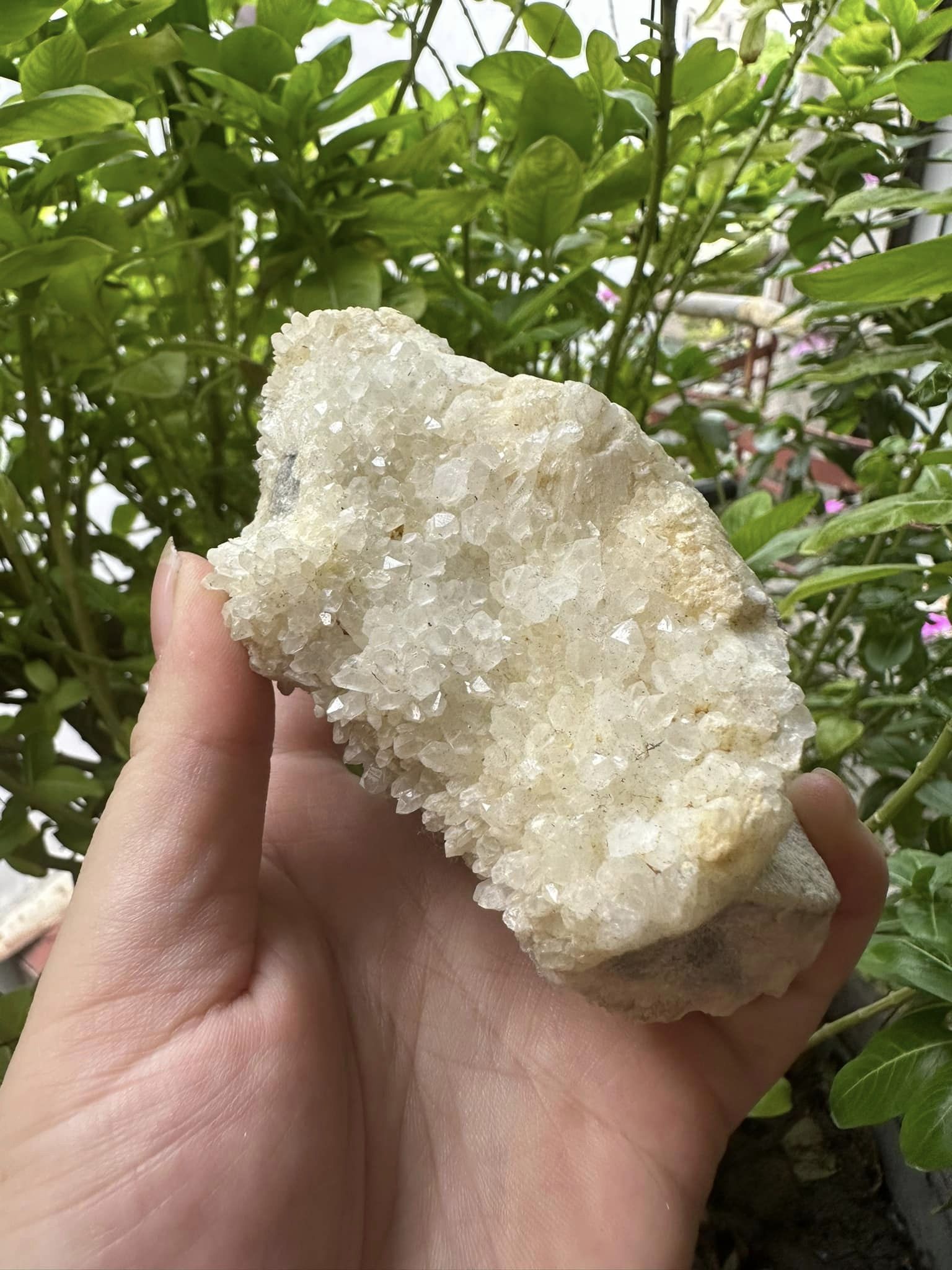 Cụm tinh thể thạch anh 100k trắng tinh