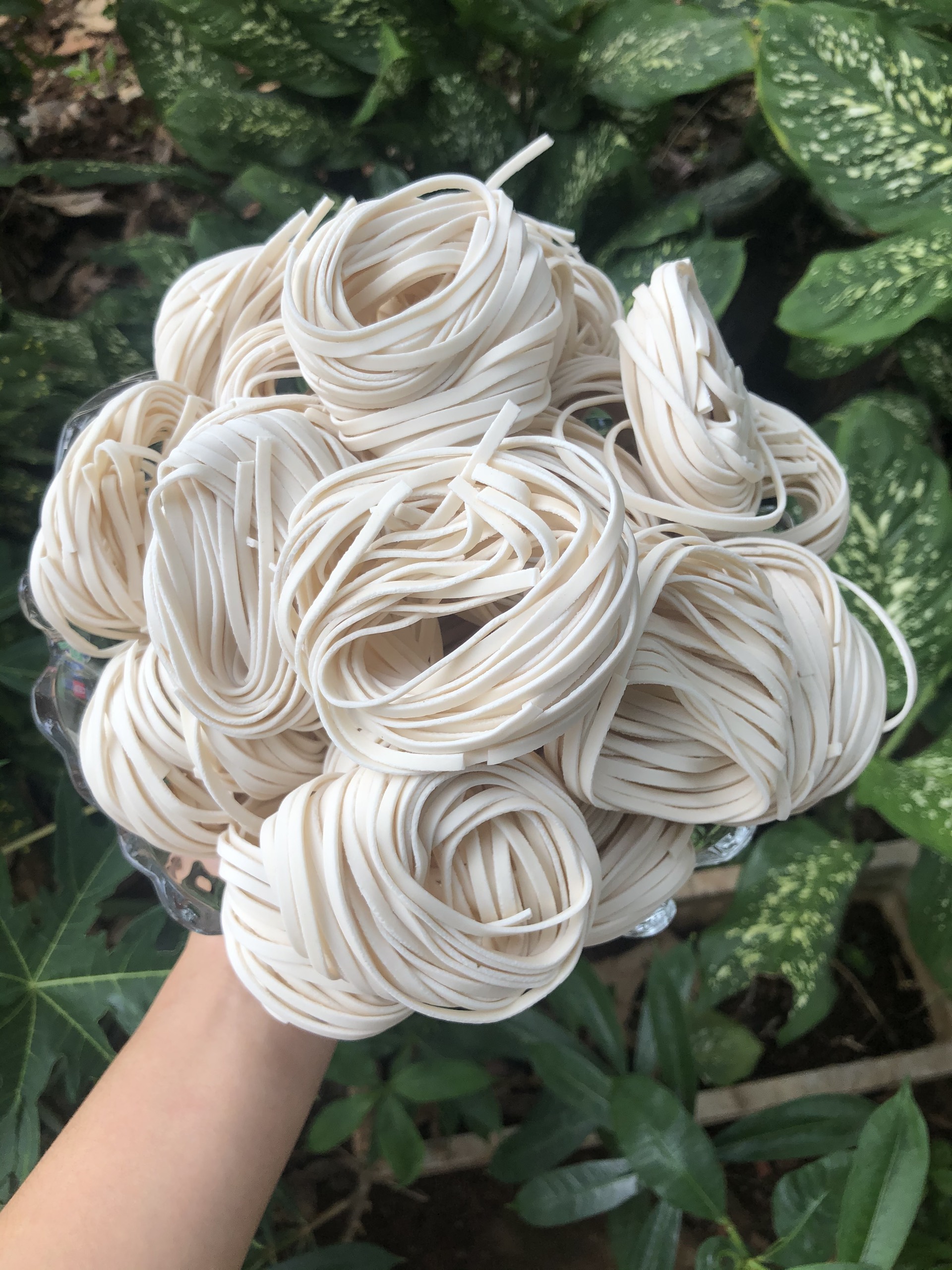 BÁNH CANH KHÔ HUẾ ĐỨC HẠNH 1KG