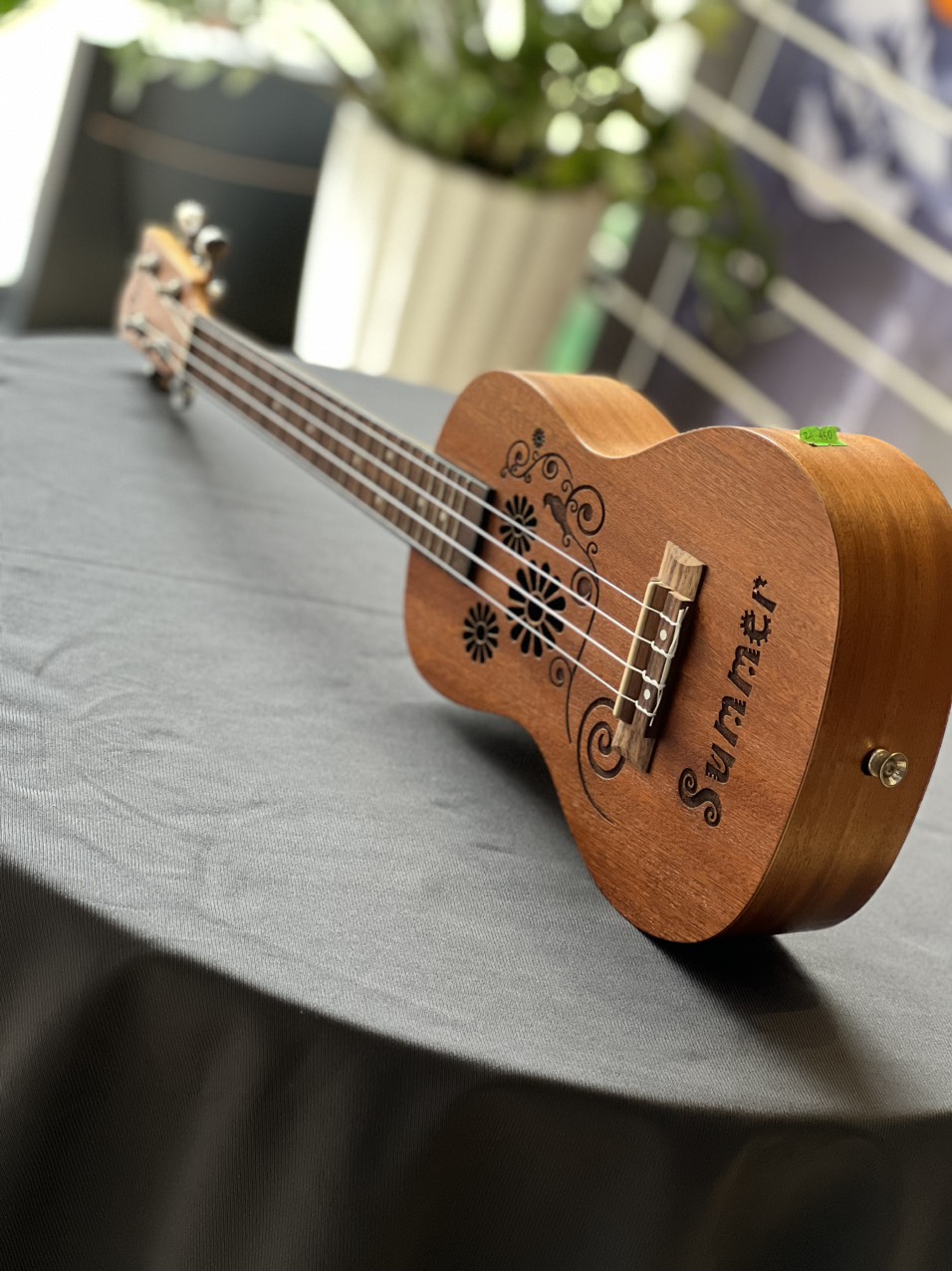 Bộ Đàn Ukulele UK24-45 + Bao đàn Ukulele U11-24