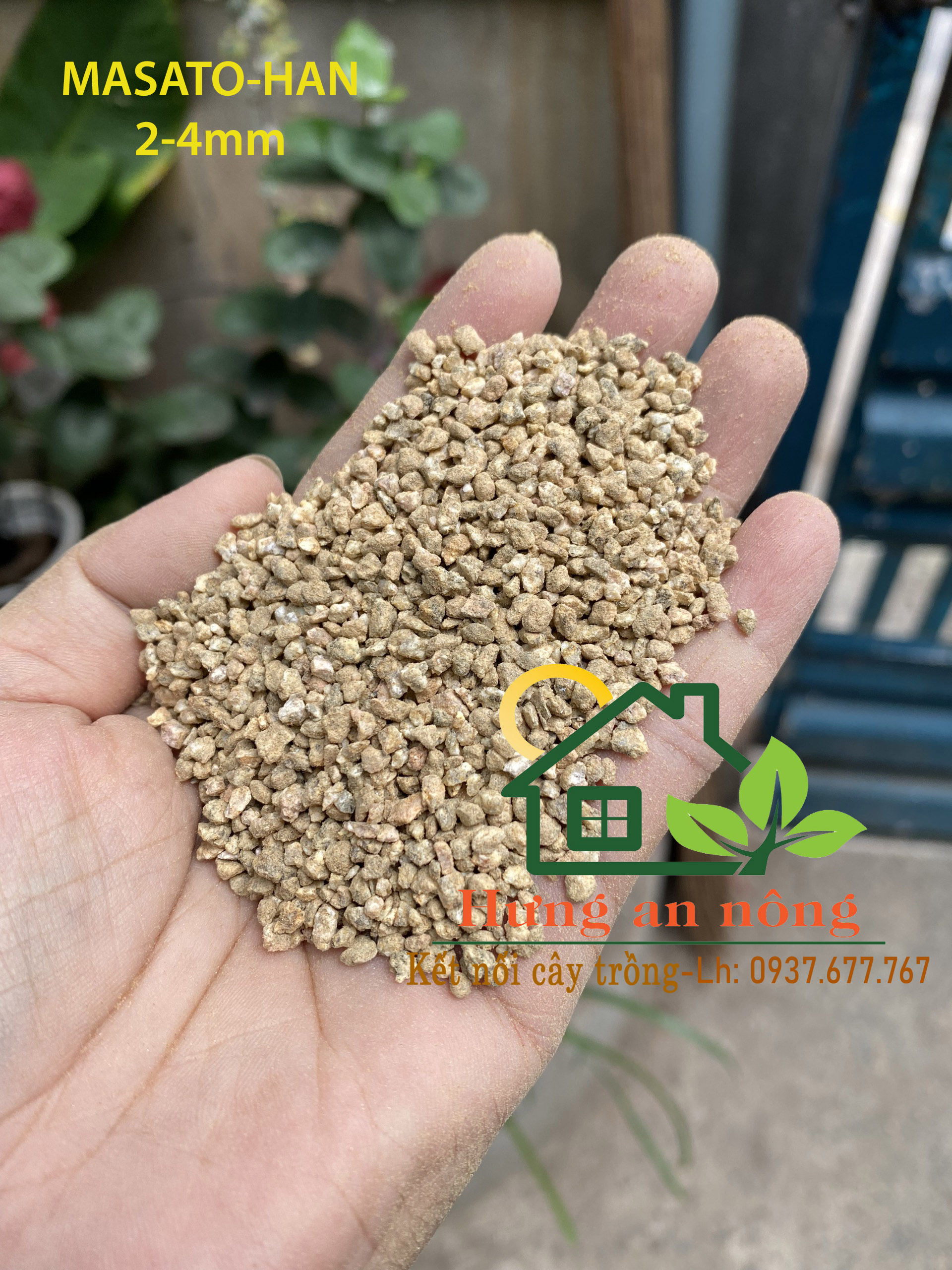 Đá Maifan H.A.N ( Masato), (Túi 1kg) chuyên dùng trồng sen đá, xương rồng, bonsai size 2-4mm và 3-6mm