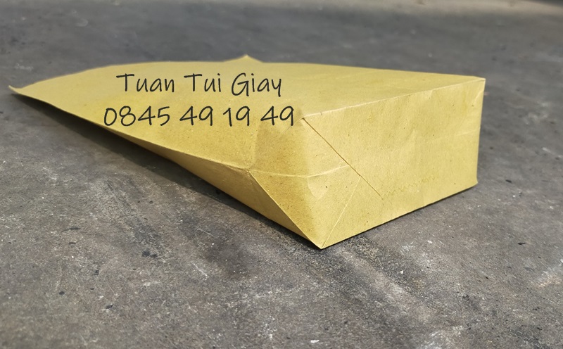 100c Túi giấy vàng 13x18
