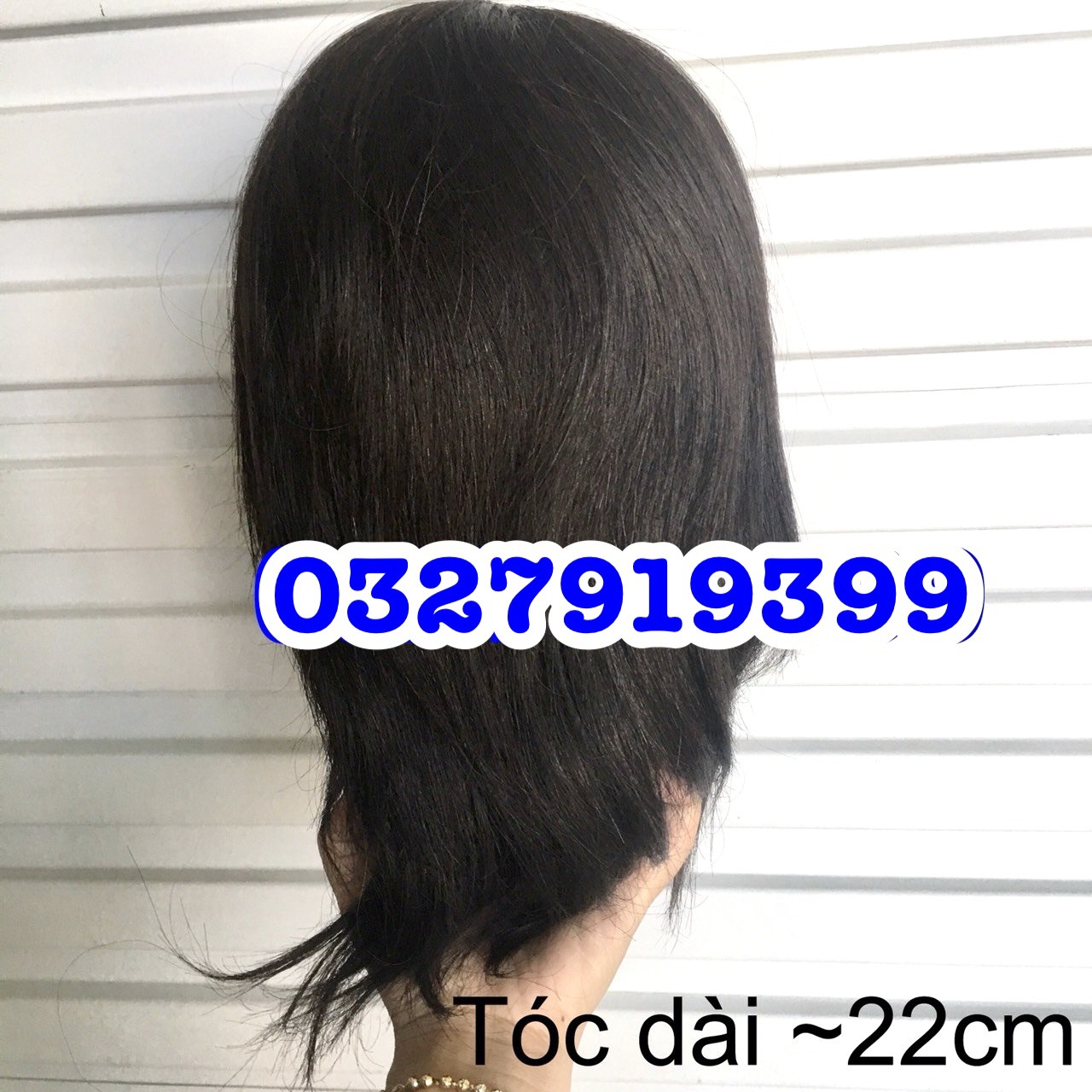 Male Mannequin Head with 100% Real Hair Mx06 - Heat Resistant to 230 Degrees - 22cm Long - Black Color - Used for Learning How to Cut, Curl, and Straighten Hair - High Quality - Professional Product