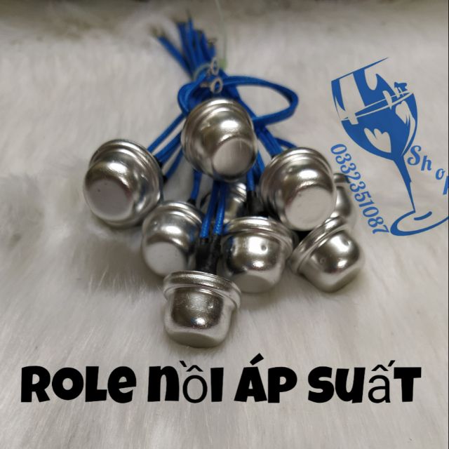 Rơ le -role nồi áp suất có dây