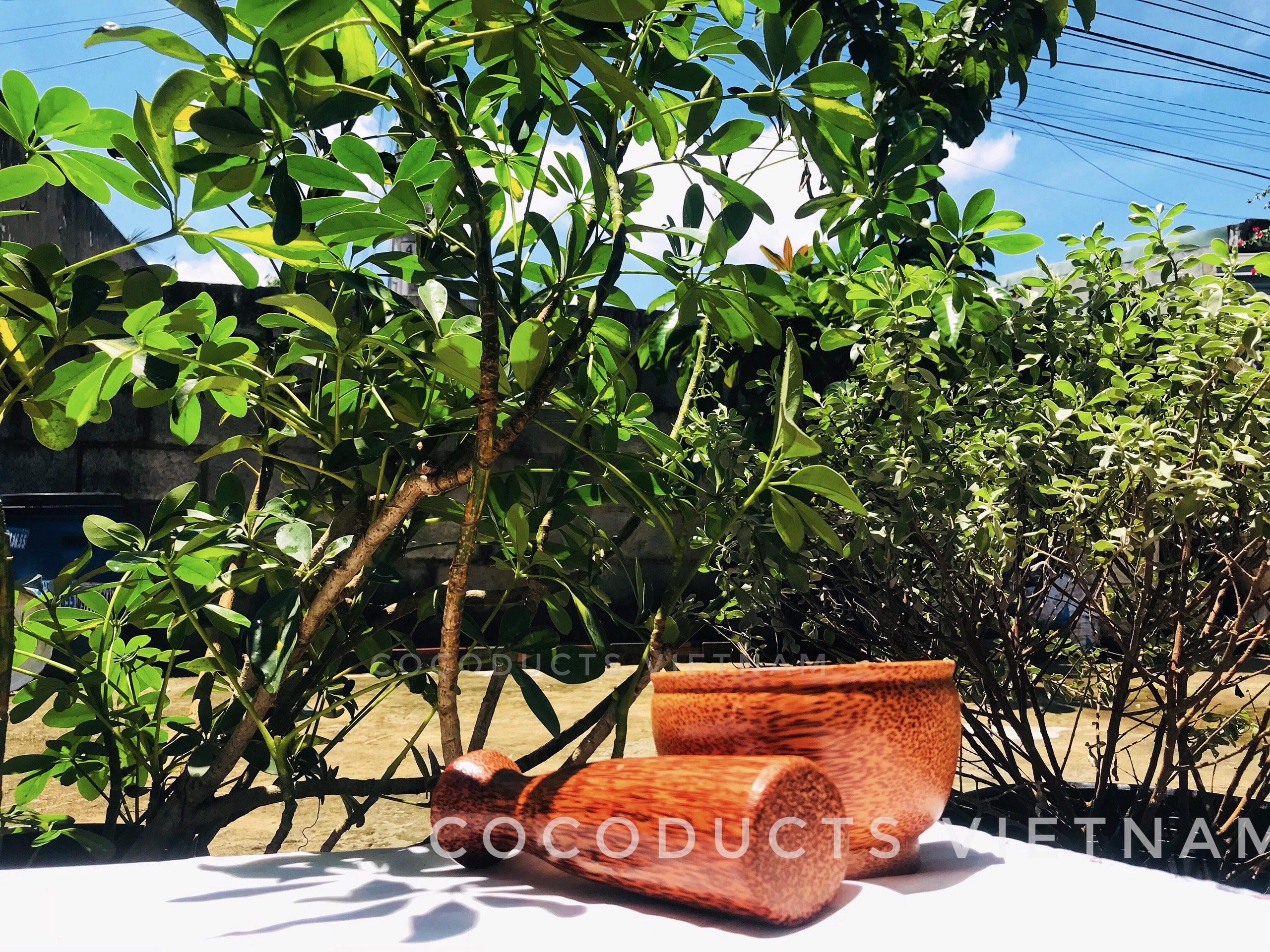 Bộ Chày Cối gỗ dừa
