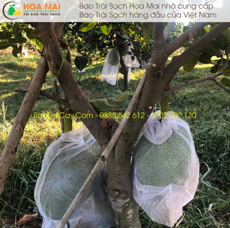 Bao mít lưới mùng trơn 50x70cm ( 100 cái )