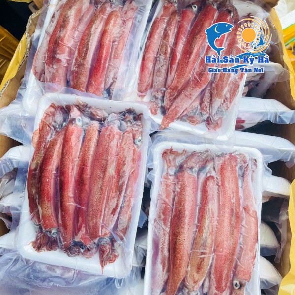 [GIAO NHANH 2H HCM] Giá Sỉ 1Kg Mực Ghim Trứng 12up