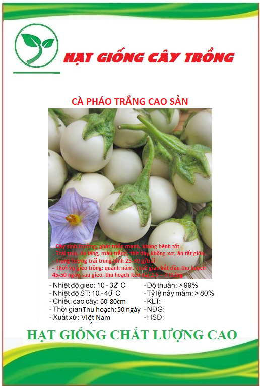 Hạt giống cà pháo trắng cao sản ct267 - gói 0.5gram