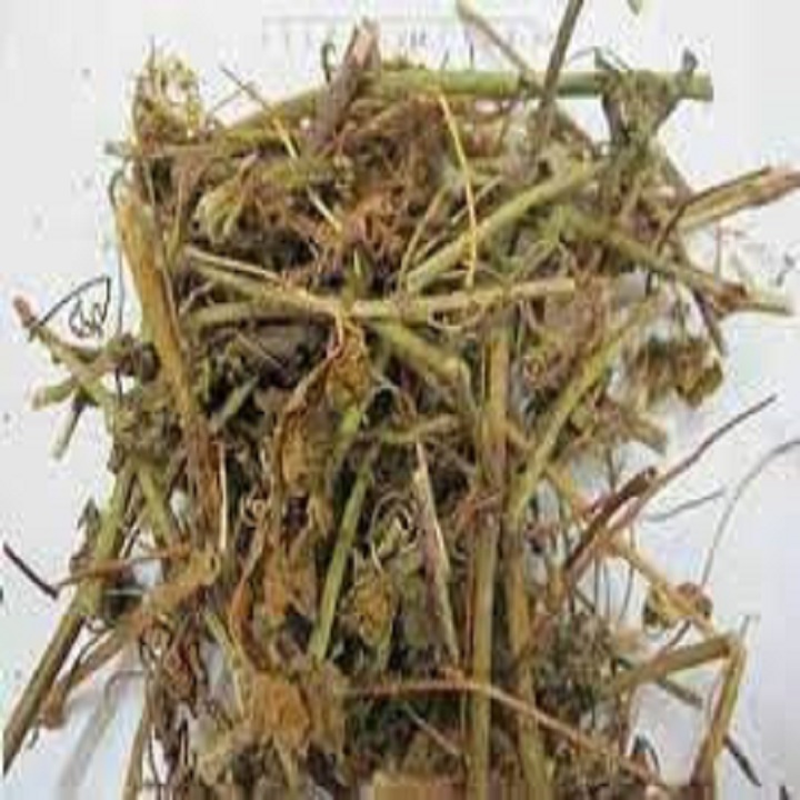 500g Cây dây lưới kho an vat