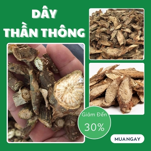 [HOT] Dây thần thông 250g cao cấp - Hàng công ty chất lượng cao hỗ trợ tình trạng đau nhức xương khớp - Thảo Dược Tấn Phát