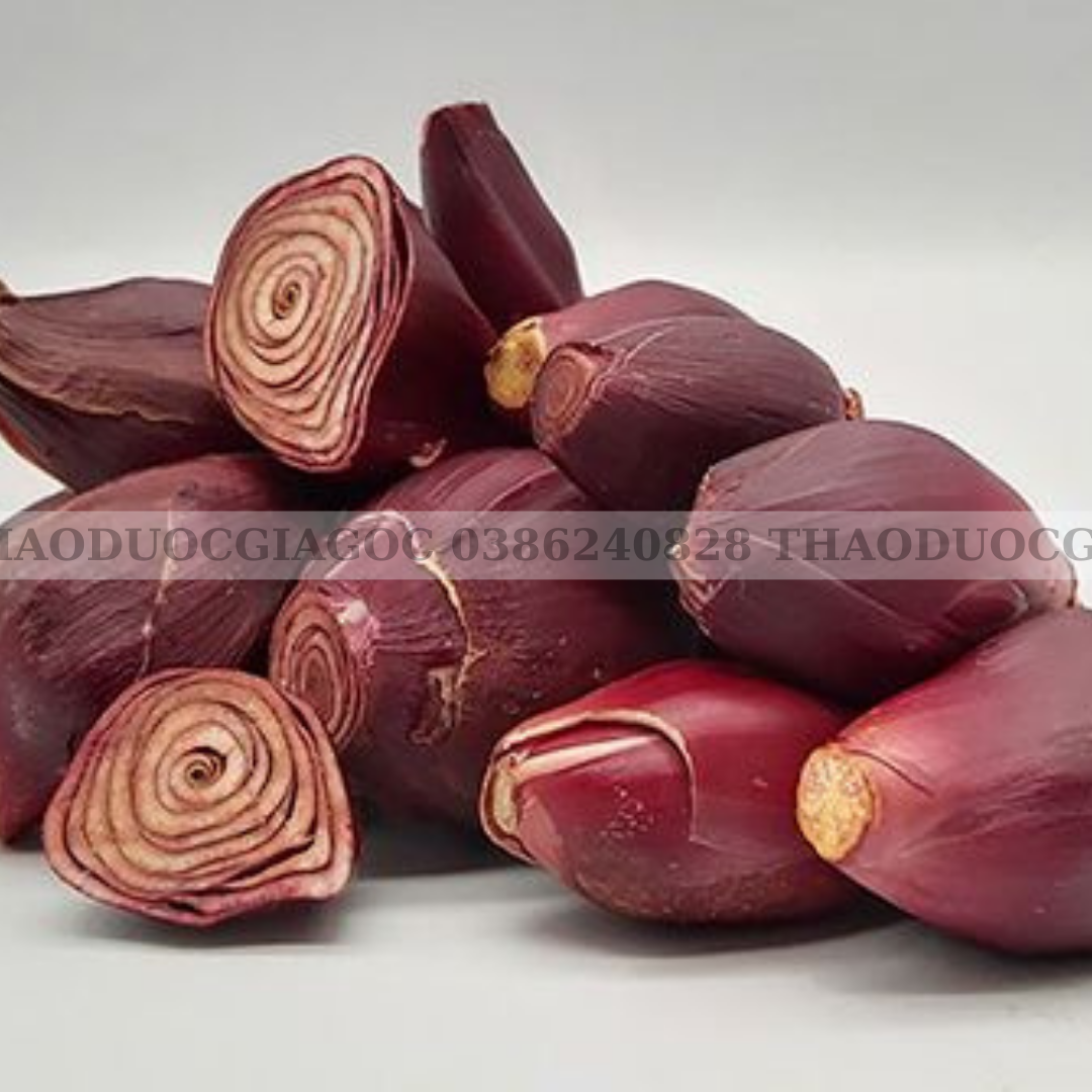 1kg sâm đại hành-tỏi đỏ