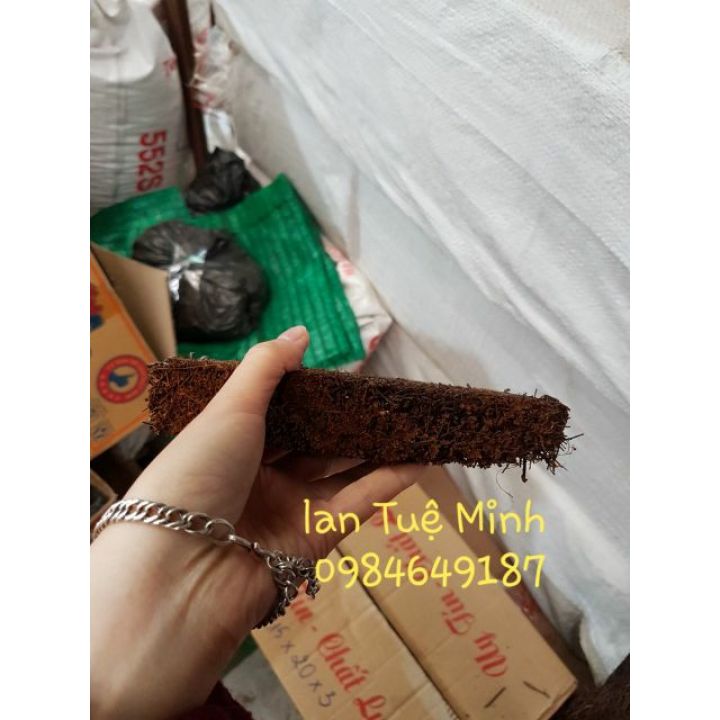 Bảng dớn trồng lan size 15x20x3 cm