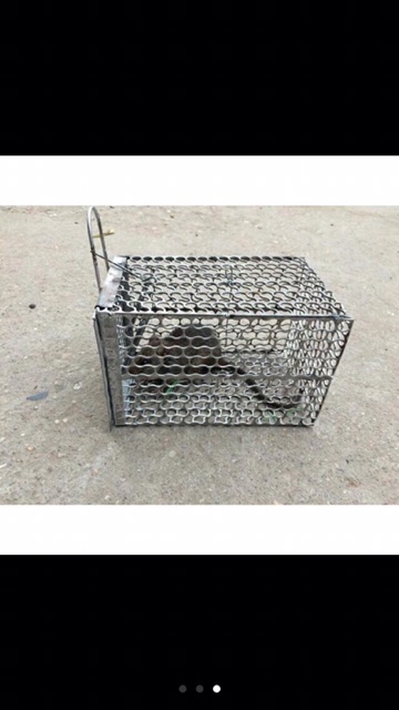 Lồng bẫy chuột bé