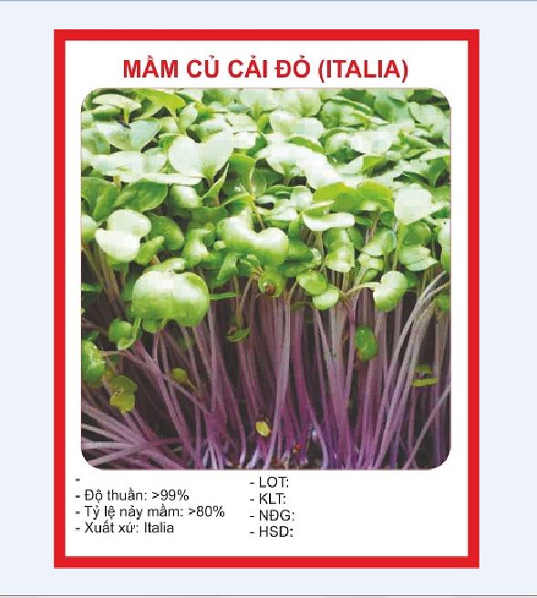 Hạt giống Mầm củ cải đỏ ( ITALIA ) - gói 30gr