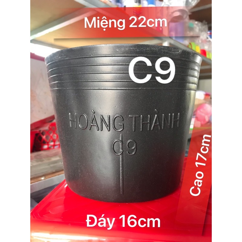 50-100 chậu nhựa đen c9 lớn