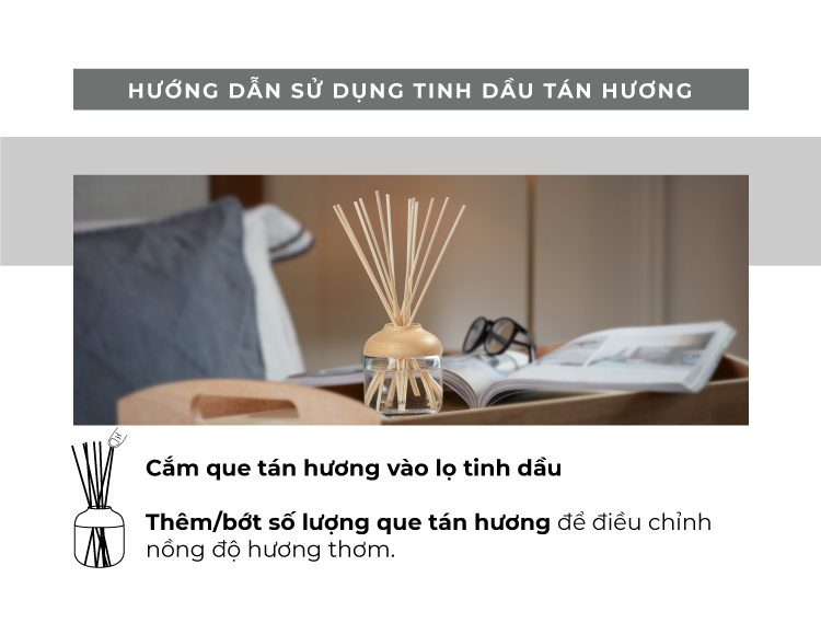 Tinh dầu tán hương Yankee Candle (nhiều mùi tùy chọn)