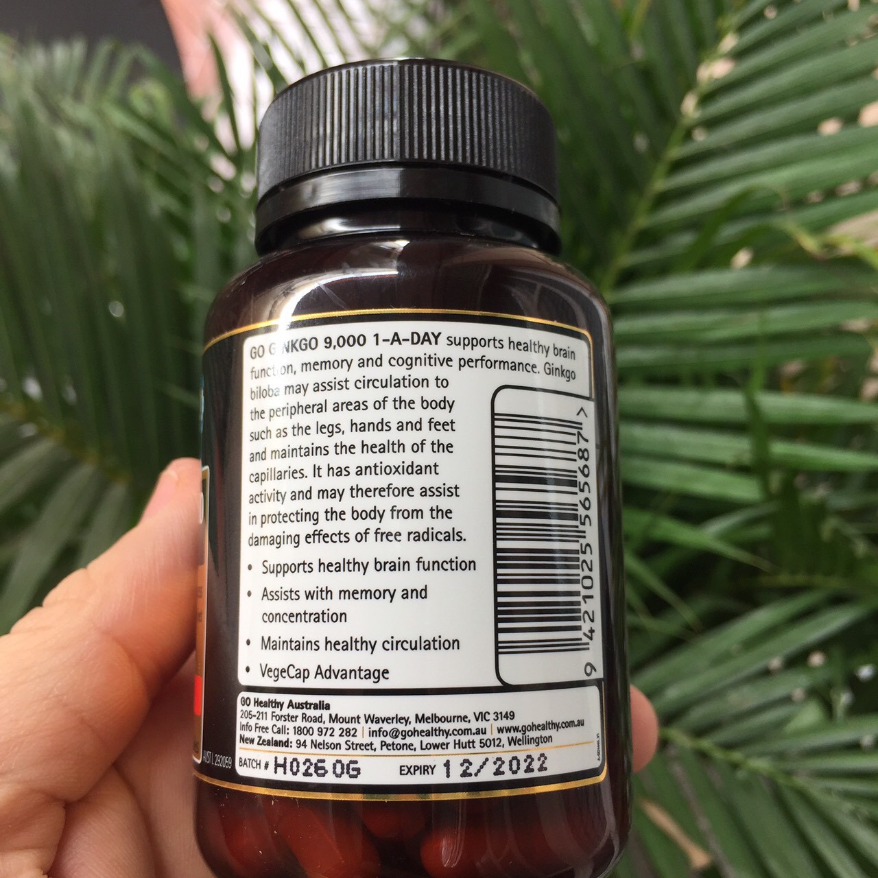 Bổ não Go Healthy Ginkgo 9000