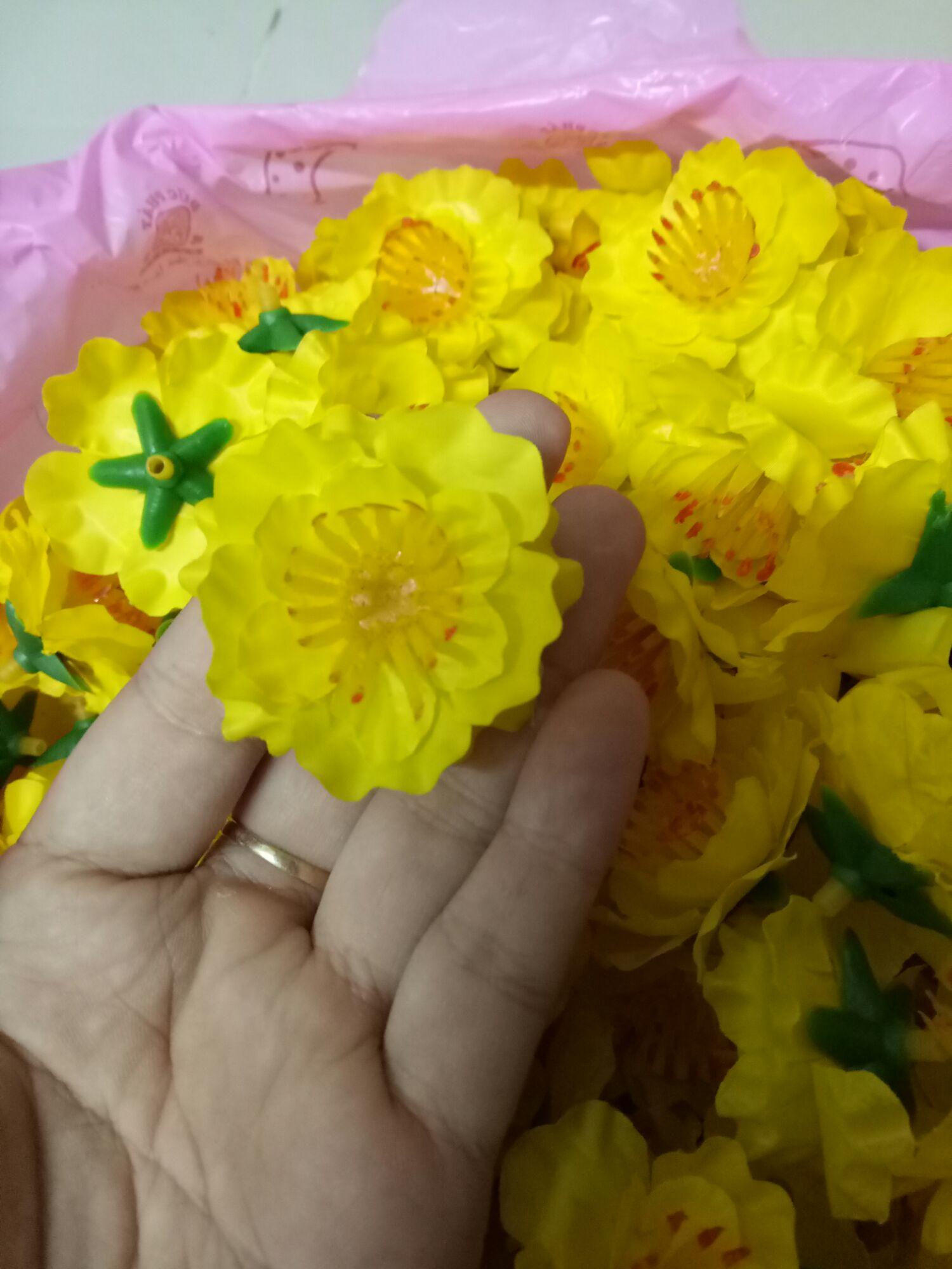 Gói 180 hoa mai chưng tết