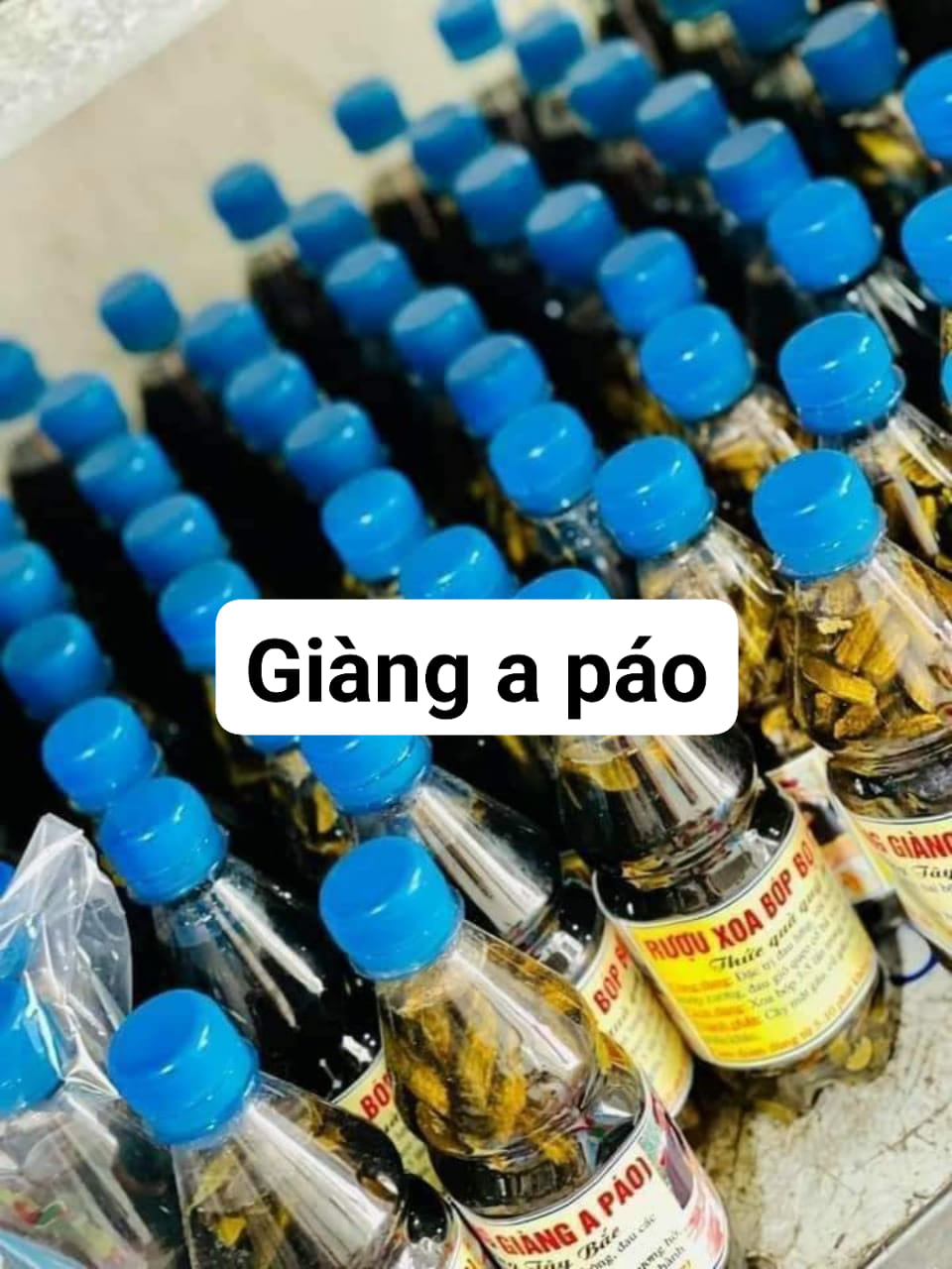 Rượu xoa bóp bọ cạp ông Giàng A Páo