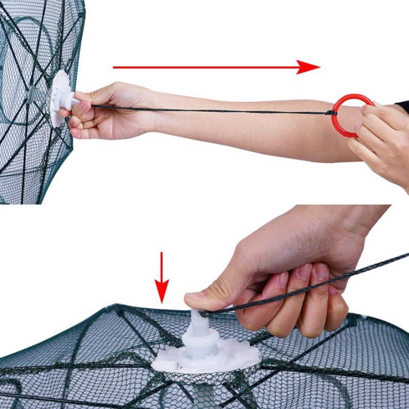 Lồng ô- Lồng bát quái