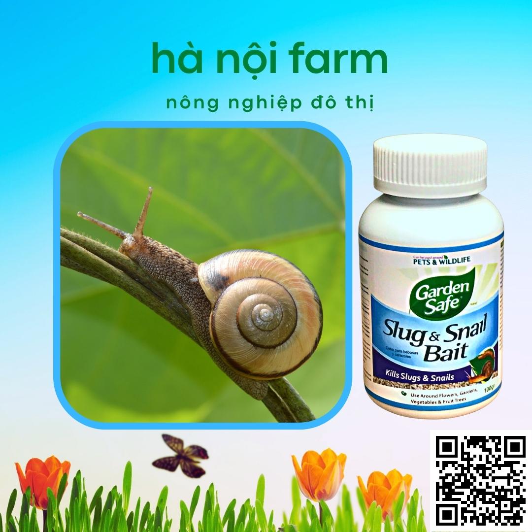 Bả diệt ốc sên nhớt slug & snail
