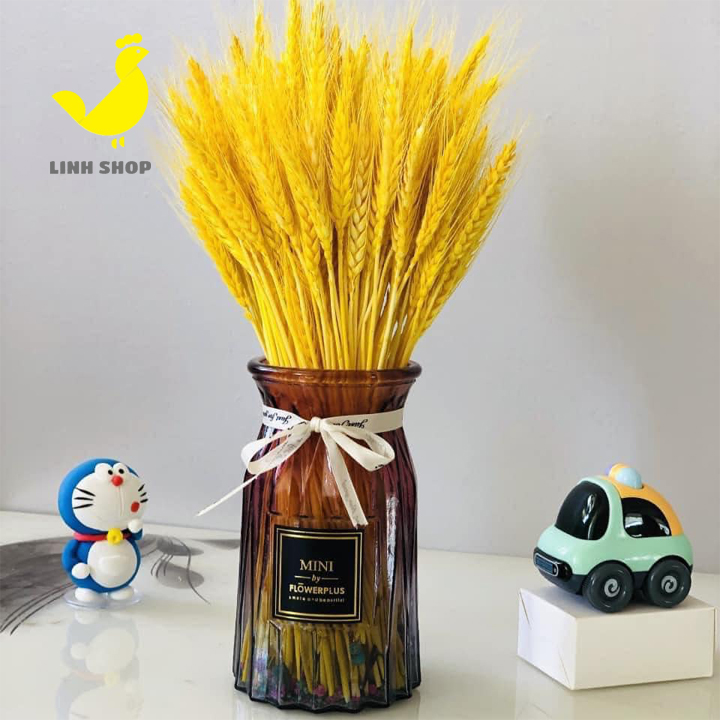 Bông lúa mạch vàng -  trang trí
