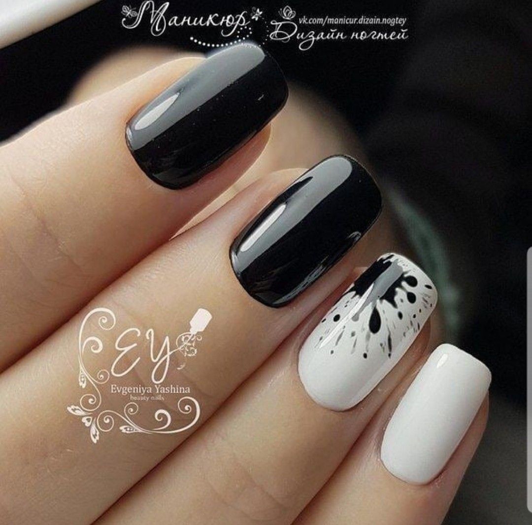 Sơn gel ANS cao cấp Japan