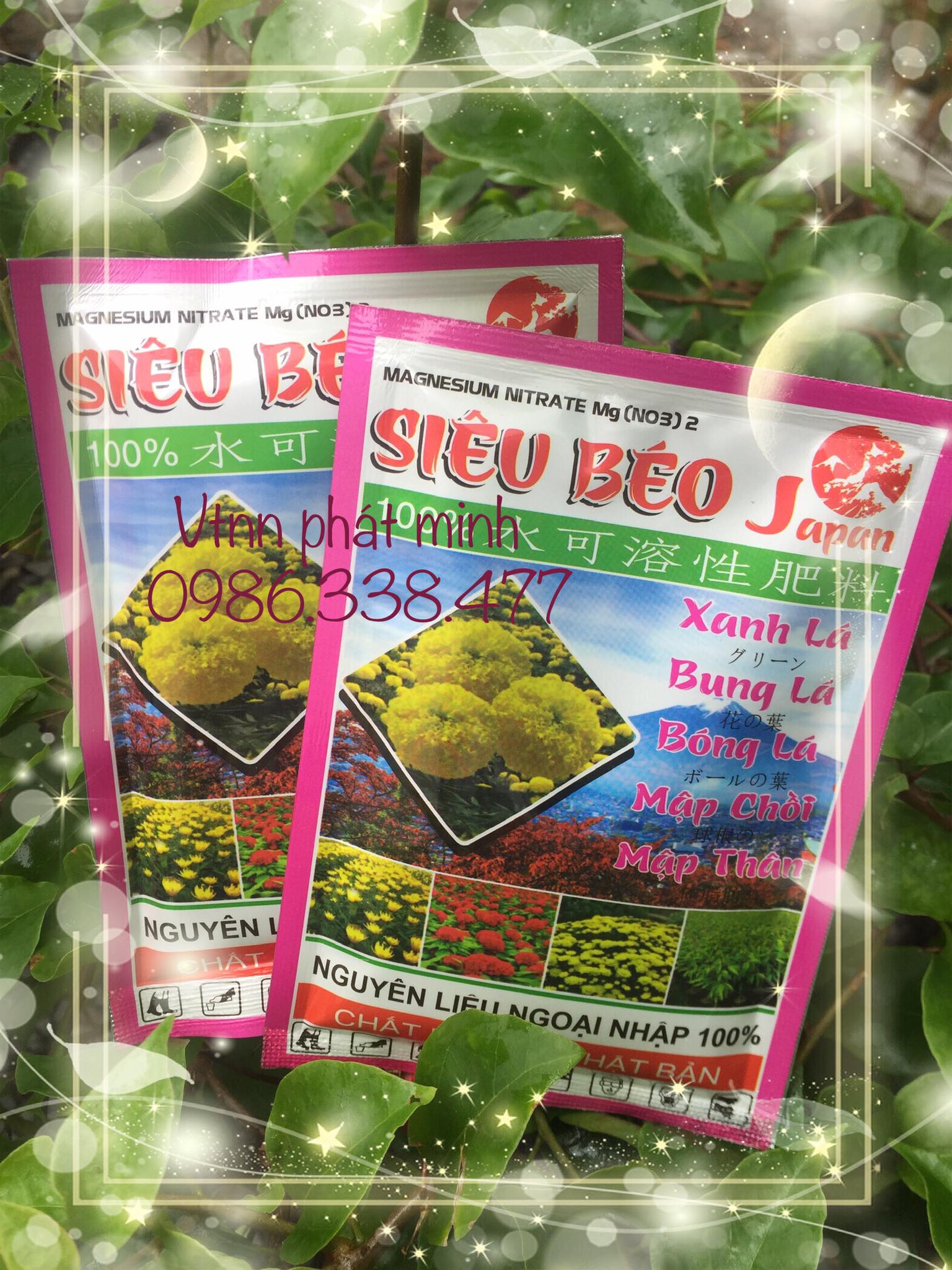 Phân bón siêu béo giup xanh lá, bung lá, bóng lá, mập chòi, mập thân, nguyên liệu ngoại nhập 100%