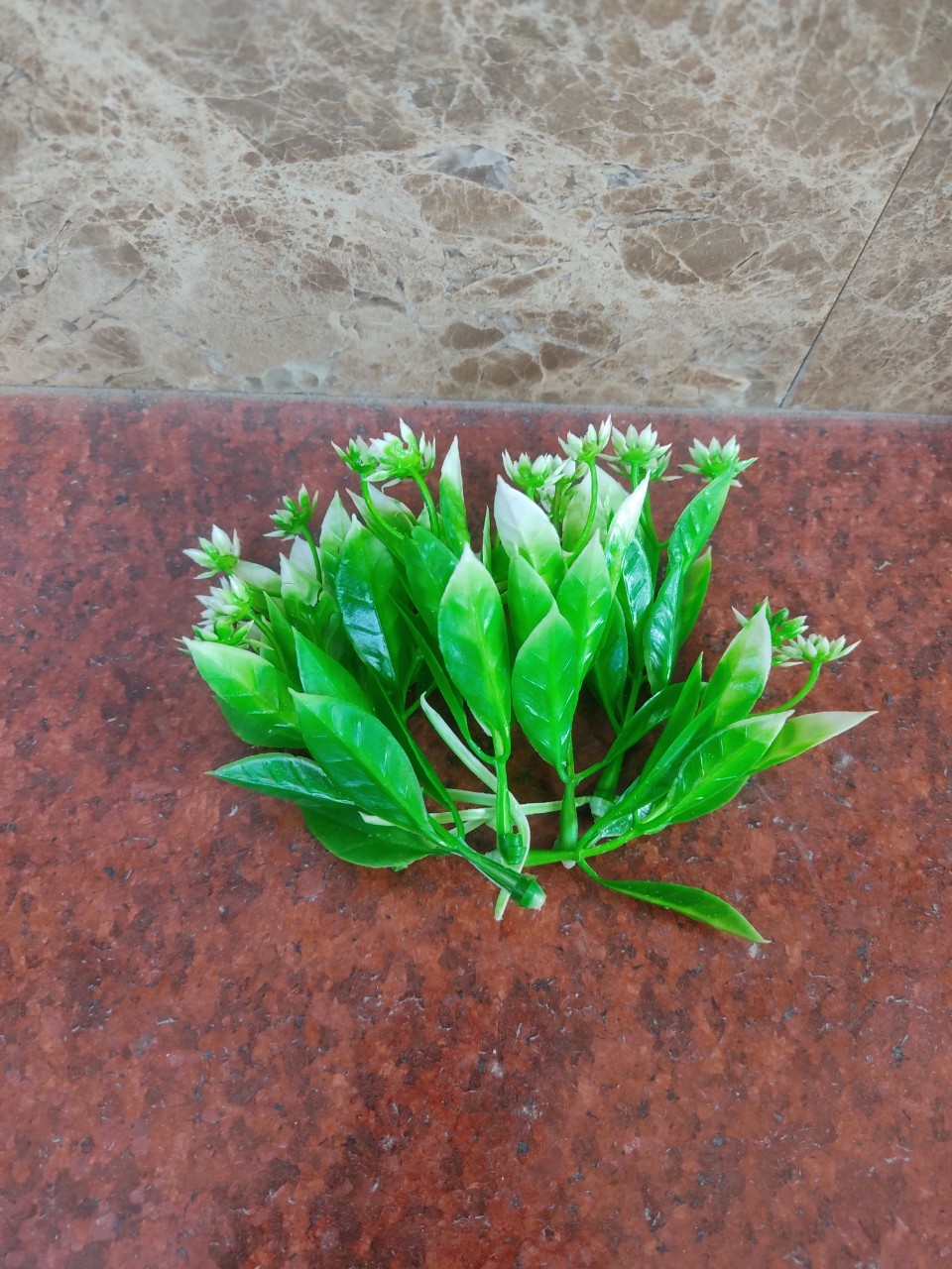100g cỏ điểm đã bỏ gọng,điểm hoa sáp, hoa lụa, oản