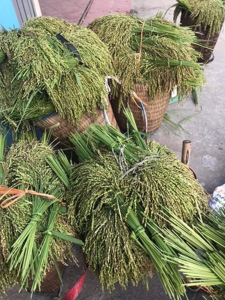 cốm nếp tan tú lệ - 1kg