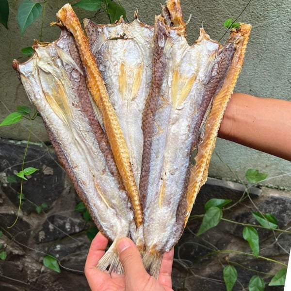 Khô Cá Mối Trắng- [PHƠI KHÔ THỦ CÔNG] - chuẩn cá mối biển tươi Cà Mau