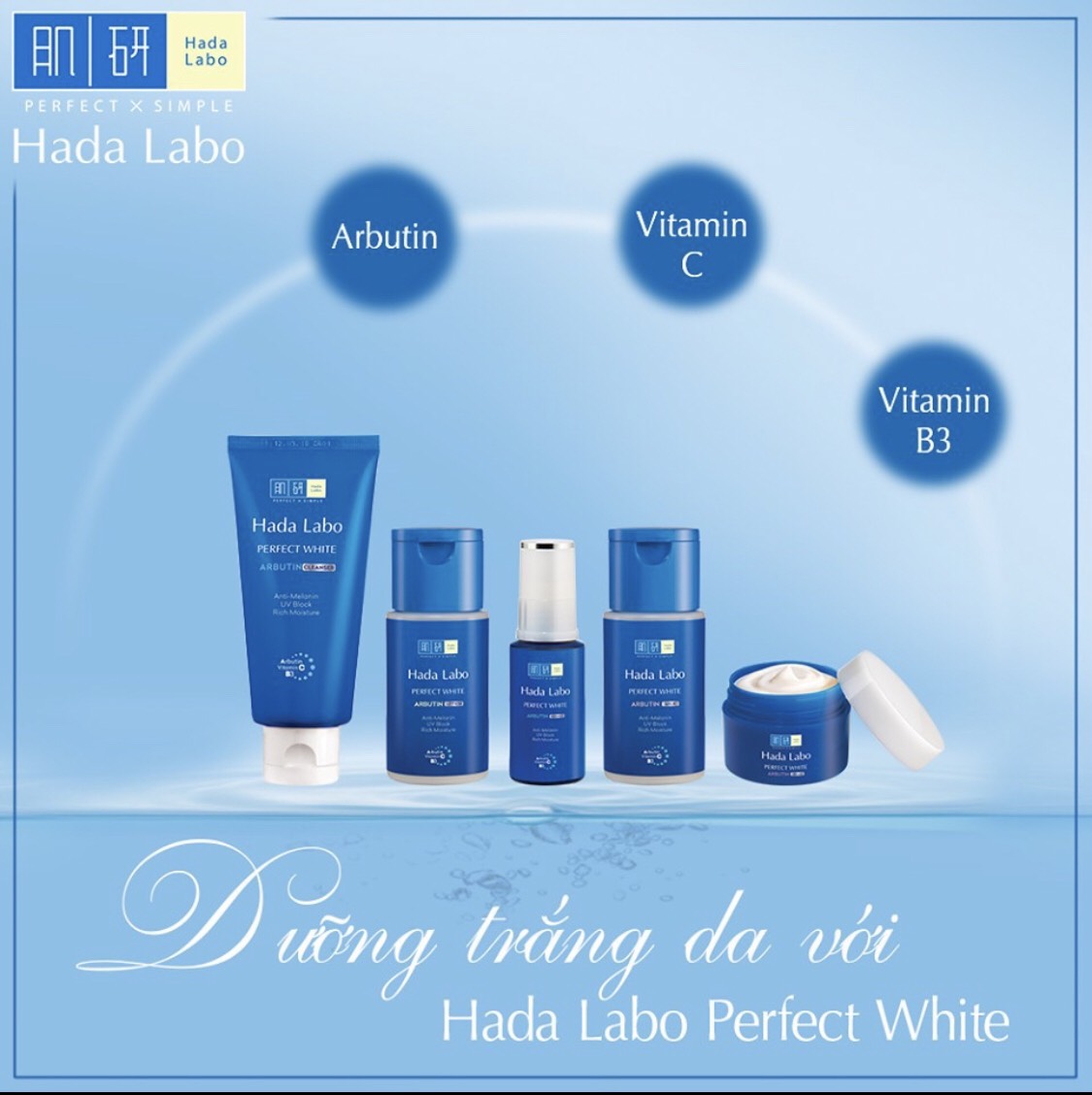 Bộ 4 sản phẩm Hada Labo Perfect White (Kem rửa mặt 80g + Dung dịch dưỡng 100ml + Tinh chất 30g + Kem dưỡng 50g)