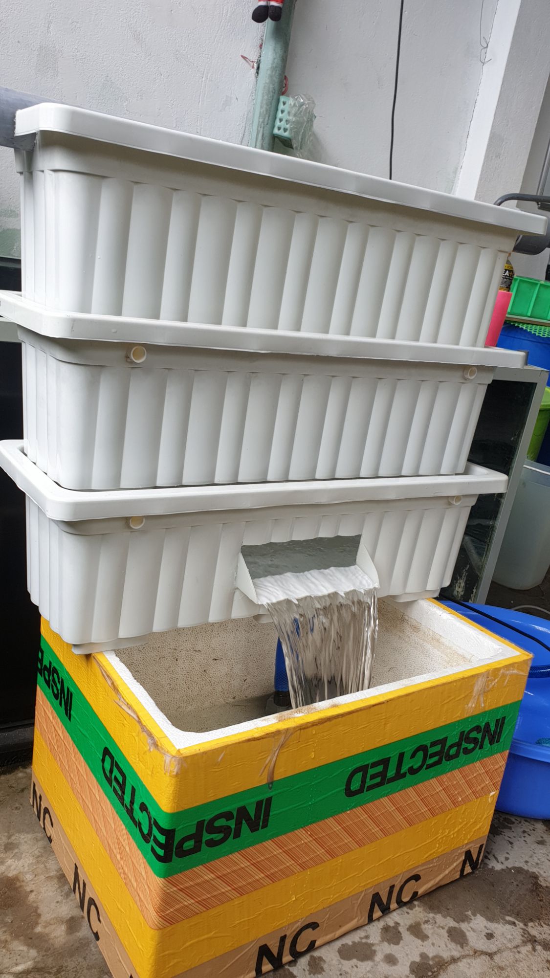 [HCM]dàn 3ky lọc hồ cá