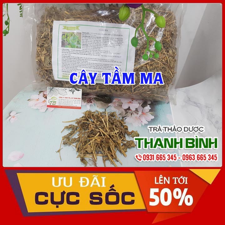 Cây Tầm Ma 1KG Khô - Thảo Dược Thanh Bình