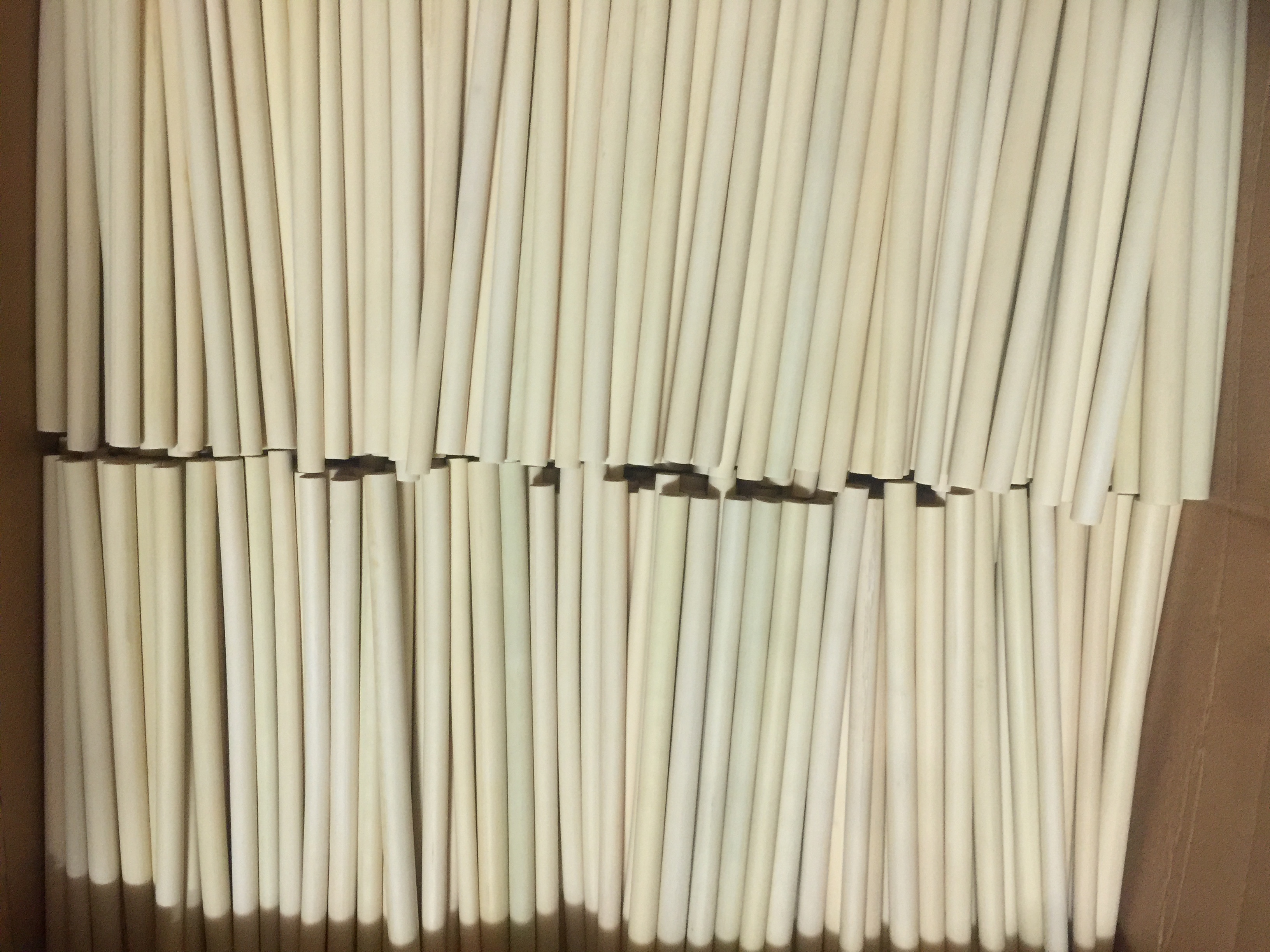 Ống hút tre - Hộp 10 ống hút tre + 1 que cọ xơ dừa - Bamboo Straws