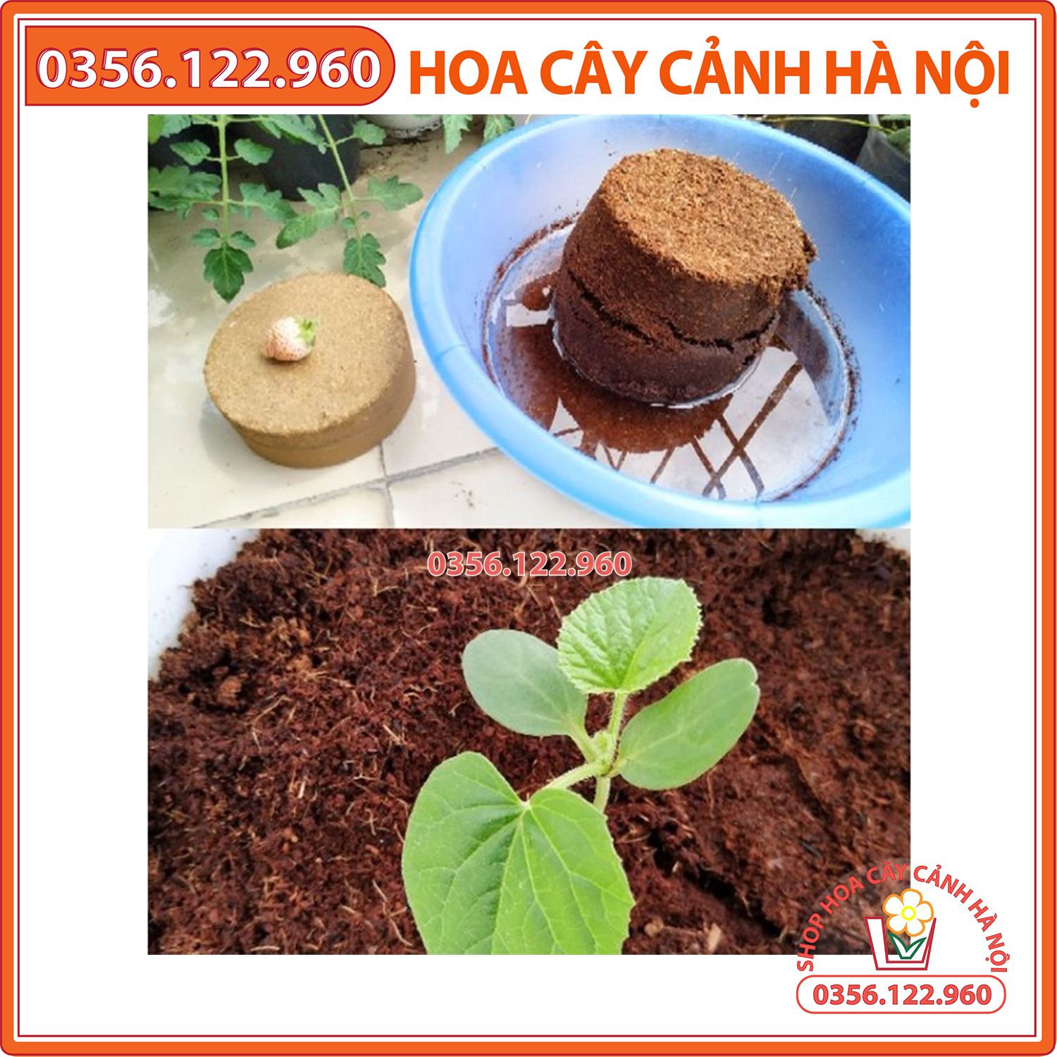 Combo 4 Bánh Xơ Dừa Dạng Nén trồng rau mầm, rau củ, quả sạch