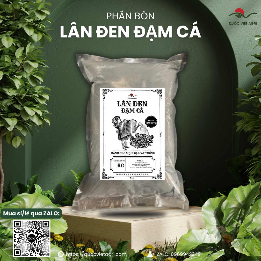 Phân bón LÂN ĐEN Đạm Cá Rong Biển (gói 1KG)