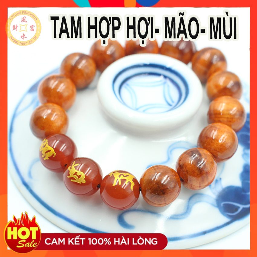 Vòng Tam hợp Hợi - Mão - Mùi