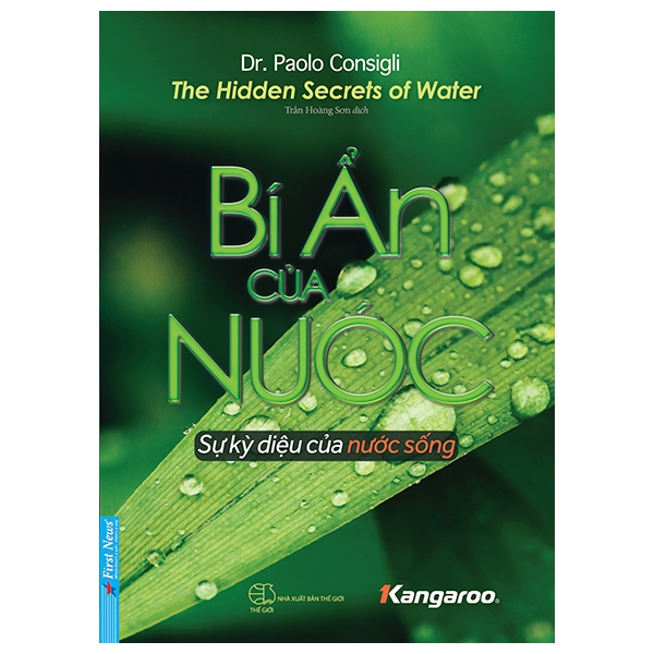Fahasa - bí ẩn của nước - giải mã sự kỳ diệu của nước sống - the hidden secrets of water