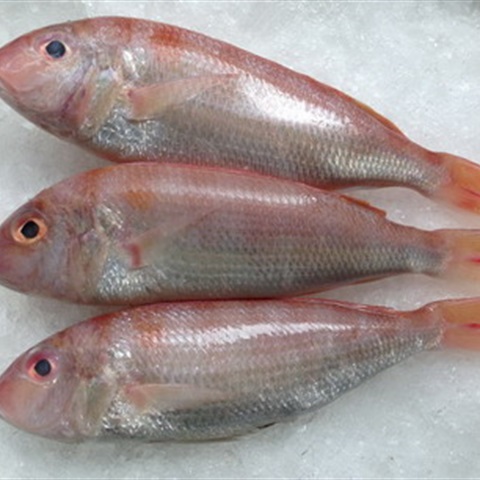 500GR KHÔ CÁ HƯỜNG TẨM VỊ (khô sạch Gò Công)