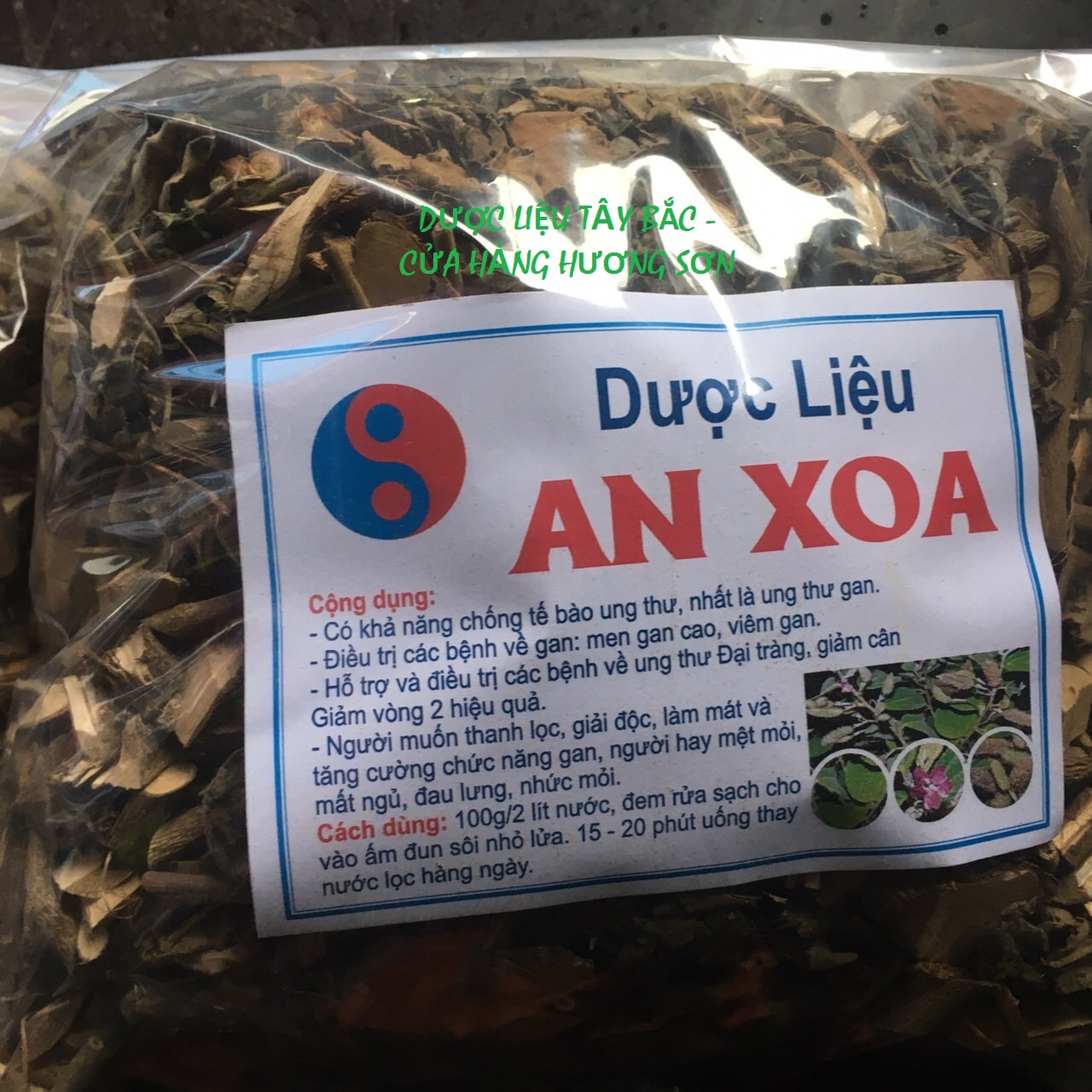 Dược liệu an xoa -giải pháp hỗ trợ cho người bị các vấn đề về gan