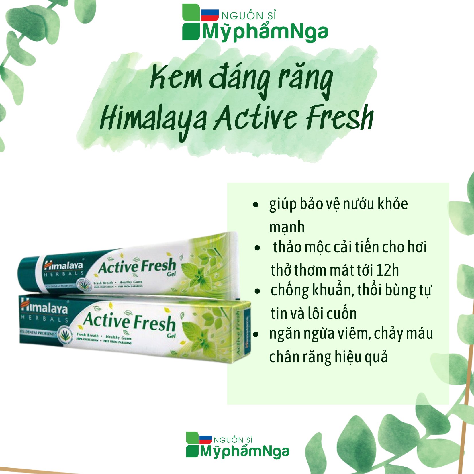 Kem đáng răng Himalaya Thơm miệng bảo vệ răng lợi Active Fresh