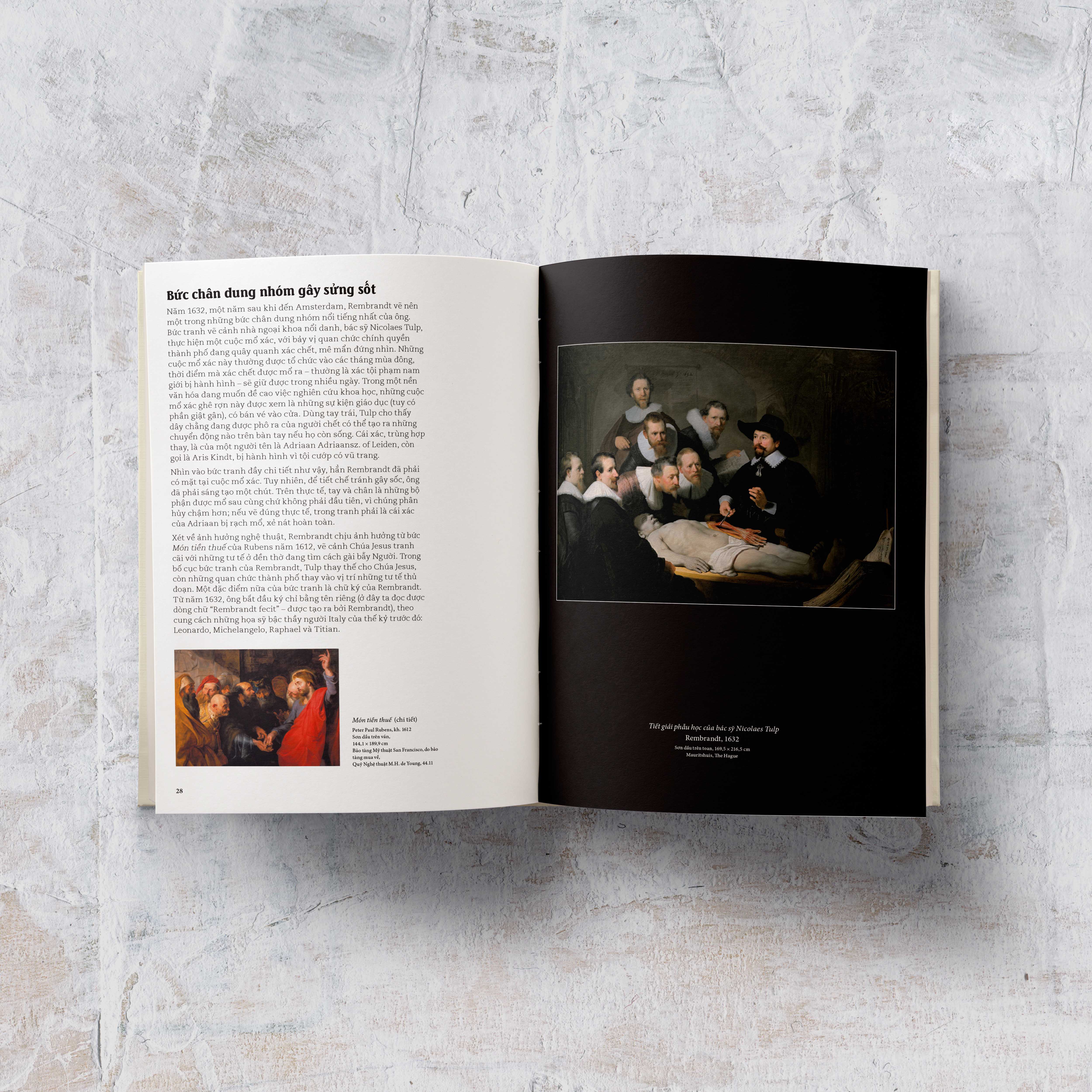 Cá Chép - Đây Là Rembrandt
